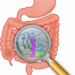 gros intestin en rose avec loupe montrant bactéries dessinées rose bleu vert avec des gros yeux chapeau et trompette