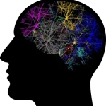 Maladie d&rsquo;alzheimer : les huiles essentielles peuvent-elles aider ?