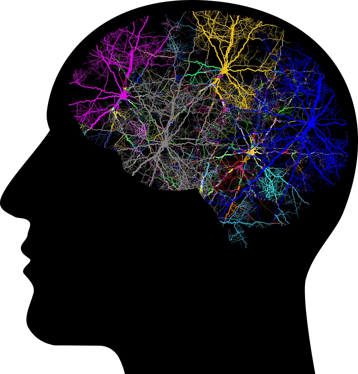 aromathérapie et maladie d'alzheimer