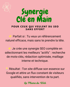 synergie-clé-en-main-la-plume-du-web